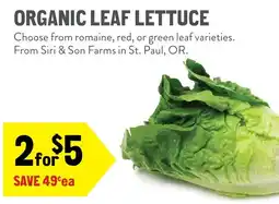New Seasons Market Organic Leaf Lettuce offer