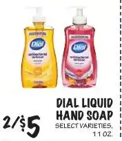 Foodarama Dial liquid hand soap offer
