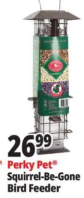 Ocean State Job Lot Perky-Pet Squirrel-Be-Gone Wild Bird Feeder offer
