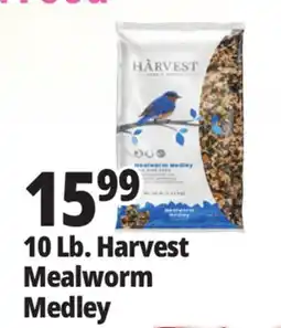 Ocean State Job Lot Harvest Seed & Supply Mealworm Medley Wild Bird Food 10 lb offer