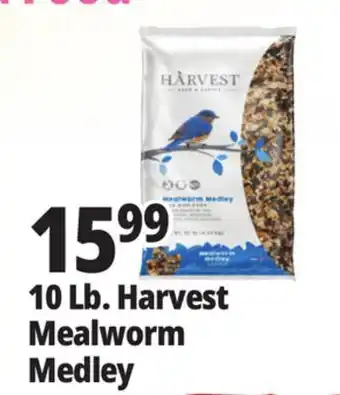Ocean State Job Lot Harvest Seed & Supply Mealworm Medley Wild Bird Food 10 lb offer