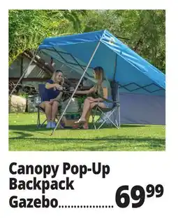 Ocean State Job Lot Canopy Pop-Up Backpack Navy Blue offer