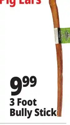 Ocean State Job Lot Cook House Bully Stick 36 offer