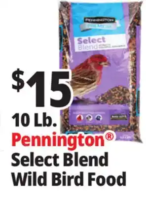 Ocean State Job Lot Pennington Premium Select Blend Bird Seed 10 lb offer