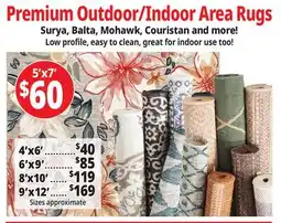 Ocean State Job Lot Premium Outdoor/Indoor Area Rugs offer