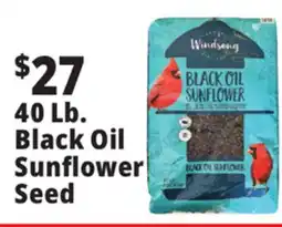 Ocean State Job Lot Black Oil Sunflower Seeds 40 lbs offer