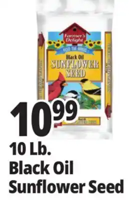 Ocean State Job Lot Farmer's Delight Black Oil Sunflower Seed 10 lbs offer