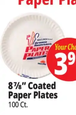 Ocean State Job Lot Leisure Way Paper Plates 100 ct 8.875 offer