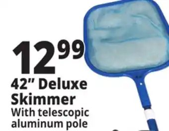 Ocean State Job Lot SwimWorks Leaf Skimmer with Telescopic Pole offer