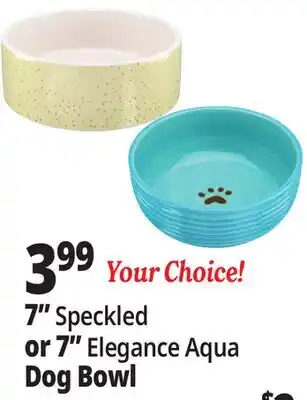 Ocean State Job Lot 7 Speckled or 7 Elegance Aqua Dog Bowl offer