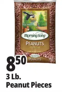 Ocean State Job Lot 3 Lb. Peanut Pieces offer