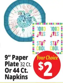 Ocean State Job Lot 9 Paper Paper Plate 32 Ct. 32 Ct. Or 44 Ct. Napkins offer