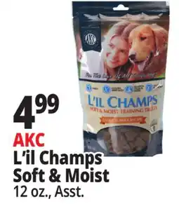 Ocean State Job Lot L'il Champs AKC Soft & Moist Dog Training Treats Pork 12 oz offer