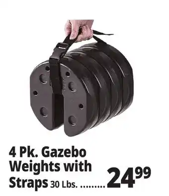 Ocean State Job Lot 4 Pk. Gazebo Weights with Straps offer