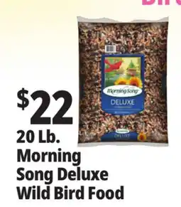 Ocean State Job Lot Morning Song Deluxe Wild Bird Food 20 lbs offer
