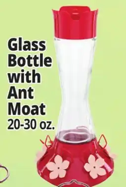 Ocean State Job Lot Glass Bottle with Ant Moat offer