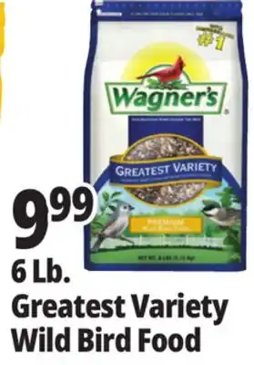 Ocean State Job Lot Wagner's Greatest Variety Deluxe Wild Bird Food 6 lbs offer