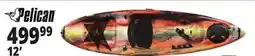 Ocean State Job Lot Pelican Covert Angler Kayak w/ Paddle offer