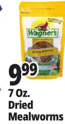 Ocean State Job Lot Wagner's Bird Meal Worms 7oz offer