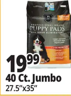 Ocean State Job Lot Huntington Pet Products Professional Grade 27.5 x 35 Puppy Pads with Odor Eliminators 40 Count offer