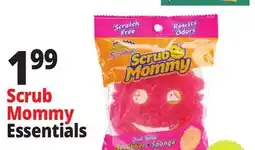 Ocean State Job Lot Scrub Daddy Dual-Sided Scrub Mommy Scrubber + Sponge offer