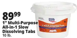 Ocean State Job Lot Pool Mate All-In-1 Slow-Dissolving 1 Multi-Purpose Tabs 10 lbs offer