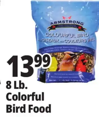 Ocean State Job Lot 8 Lb. Colorful Bird Food offer