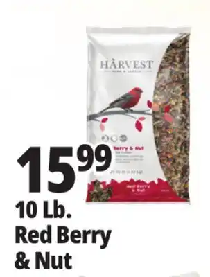 Ocean State Job Lot Harvest Seed & Supply Red Berry & Nut Wild Bird Food 10 lb offer