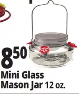 Ocean State Job Lot Mini Glass Mason Jar 12 oz offer