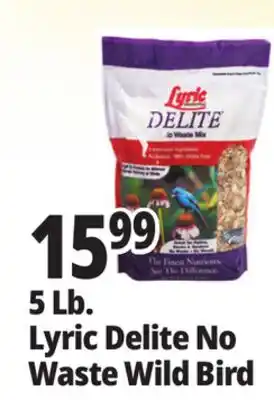Ocean State Job Lot Lyric Delite No Waste Mix Bird Seed 5 lbs offer