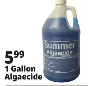 Ocean State Job Lot Summer Algaecide 1 Gal offer