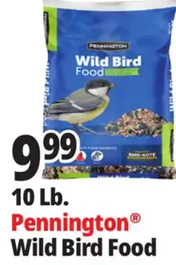 Ocean State Job Lot Pennington Wild Bird Food 10 lbs offer