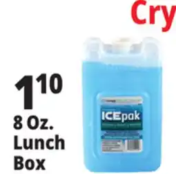 Ocean State Job Lot Cryopak Ice Pack Lunch Size offer