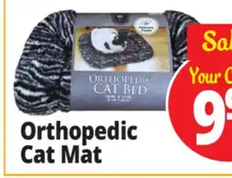 Ocean State Job Lot Orthopedic Cat Mat offer