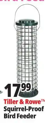Ocean State Job Lot Tiller & Rowe Squirrel Proof Bird Feeder offer