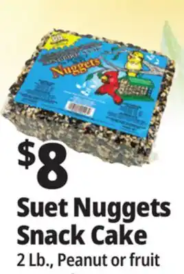 Ocean State Job Lot C&S EZ Fill Suet Cake or Snak Feeder offer