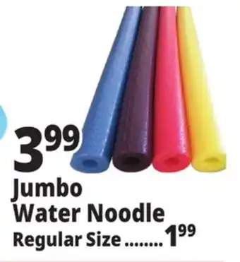Ocean State Job Lot 55 Jumbo Pool Noodle offer