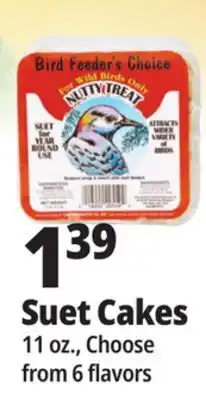 Ocean State Job Lot Bird Feeder's Choice High Energy Suet 11 oz offer