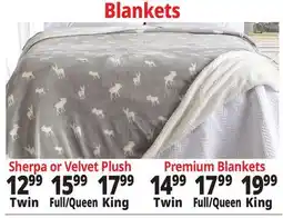 Ocean State Job Lot Blankets offer
