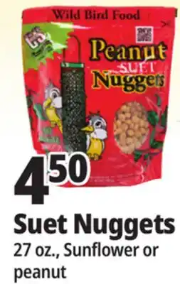 Ocean State Job Lot Suet Nuggets offer