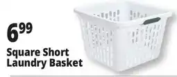 Ocean State Job Lot Square Short Laundry Basket offer