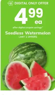 ACME Seedless Watermelon offer