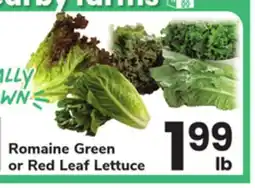 ACME Romaine Green or Red Leaf Lettuce offer