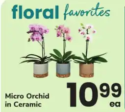 ACME Micro Orchid in Ceramic offer