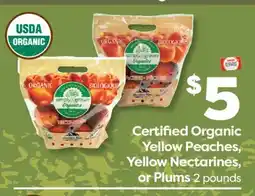 Weis Markets Certified Organic Yellow Peaches, Yellow Nectarines, or Plums offer