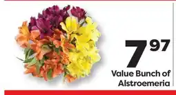 Weis Markets Value Bunch of Alstroemeria offer