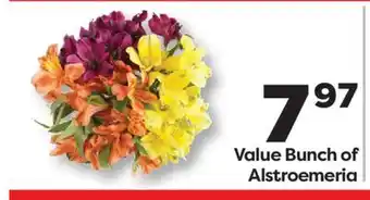 Weis Markets Value Bunch of Alstroemeria offer