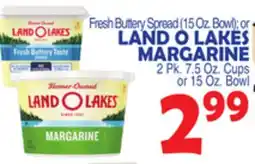 Bravo Supermarkets LAND O LAKES MARGARINE offer