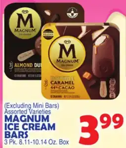 Bravo Supermarkets MAGNUM ICE CREAM BARS offer