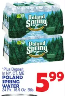 Bravo Supermarkets POLAND SPRING WATER offer